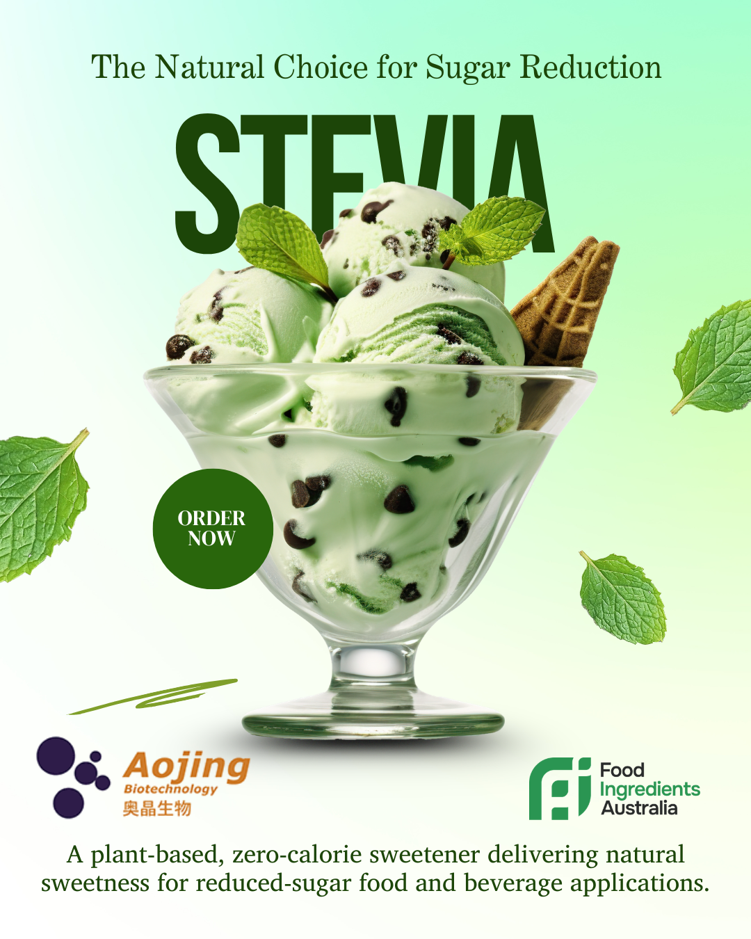 Stevia Powder Australia Natural Sweetener | AOJING Rebaudioside A & M Zero Calorie Sugar Substitute Bulk