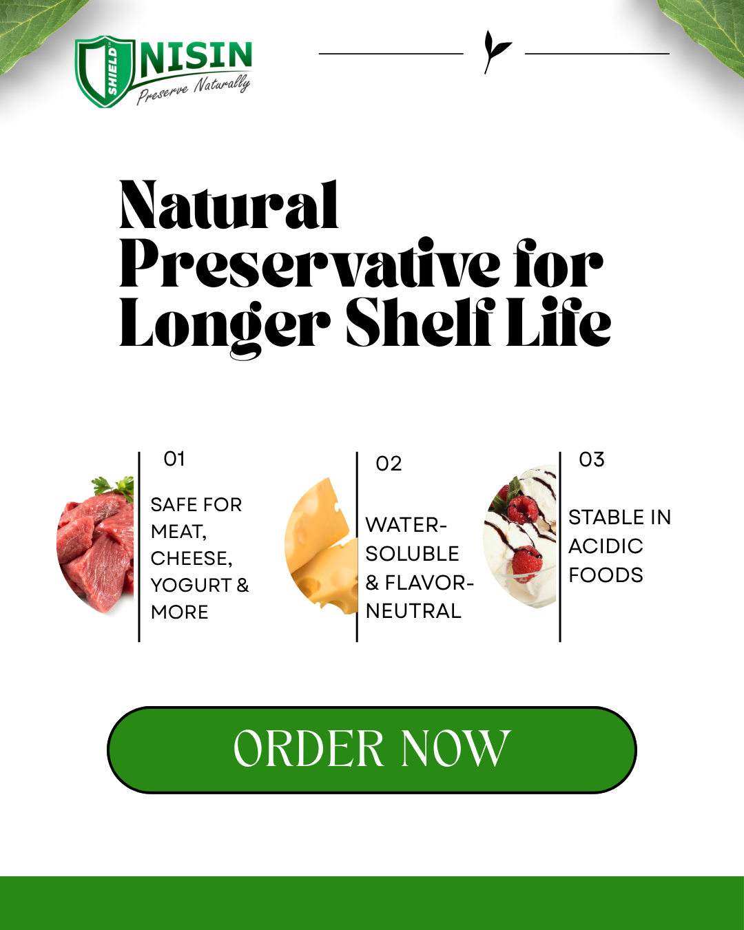 Nisin Powder E234 Australia | NISIN SHIELD Natural Food Preservative Shelf Life Booster Bulk Supply